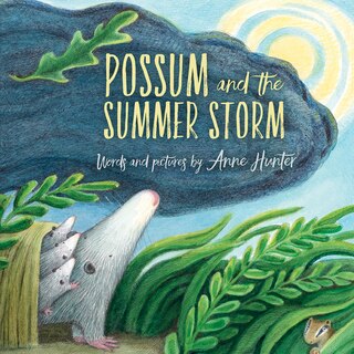 Front cover_Possum And The Summer Storm