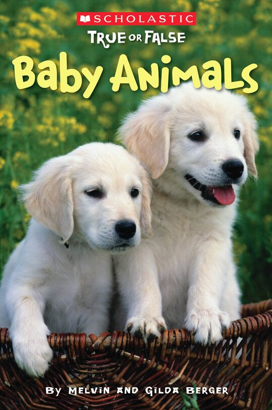 Couverture_Baby Animals (scholastic True Or False)