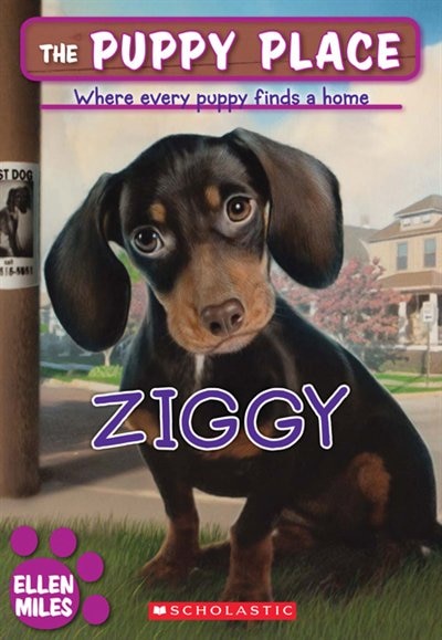 Front cover_The Puppy Place #21: Ziggy