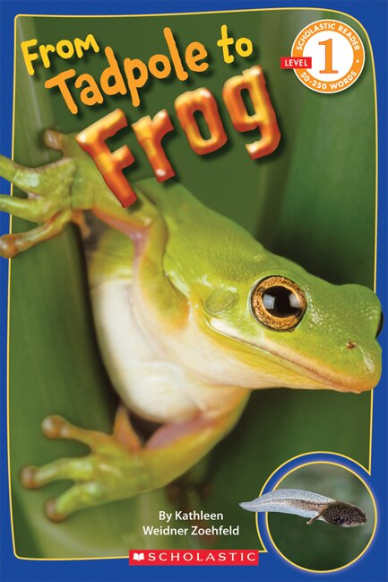 Front cover_From Tadpole to Frog (Scholastic Reader, Level 1)