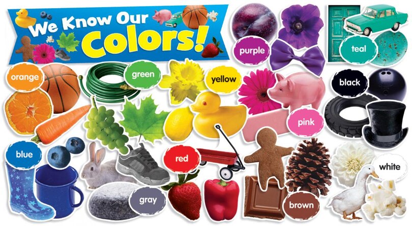 Colors in Photos Mini Bulletin Board