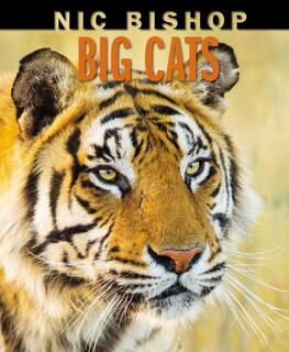 Front cover_Nic Bishop Big Cats