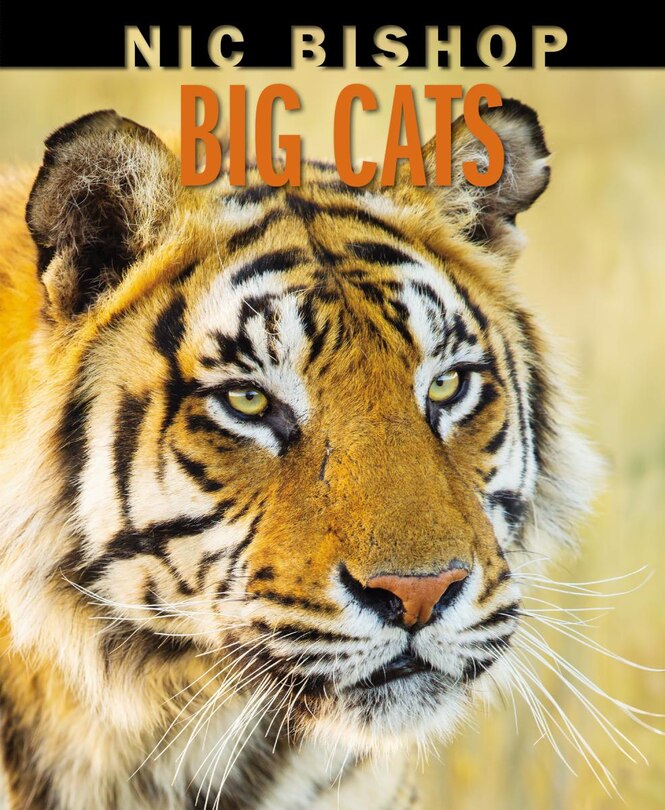 Front cover_Nic Bishop Big Cats