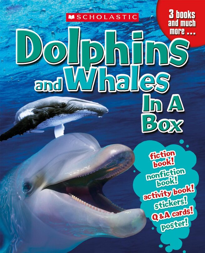 Dolphins & Whales in a Box