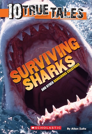 Surviving Sharks (10 True Tales)