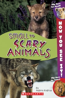 Front cover_Now You See It! Small to Scary Animals