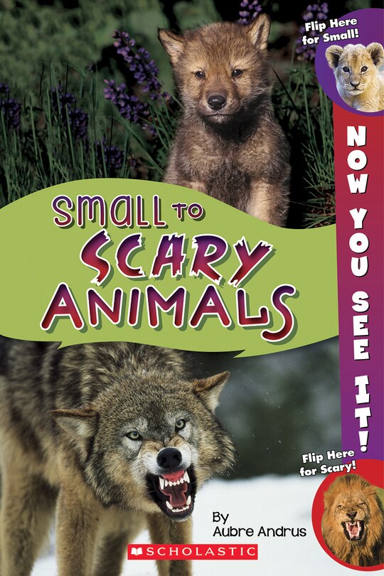 Front cover_Now You See It! Small to Scary Animals