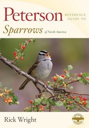 Peterson Reference Guide To Sparrows Of North America