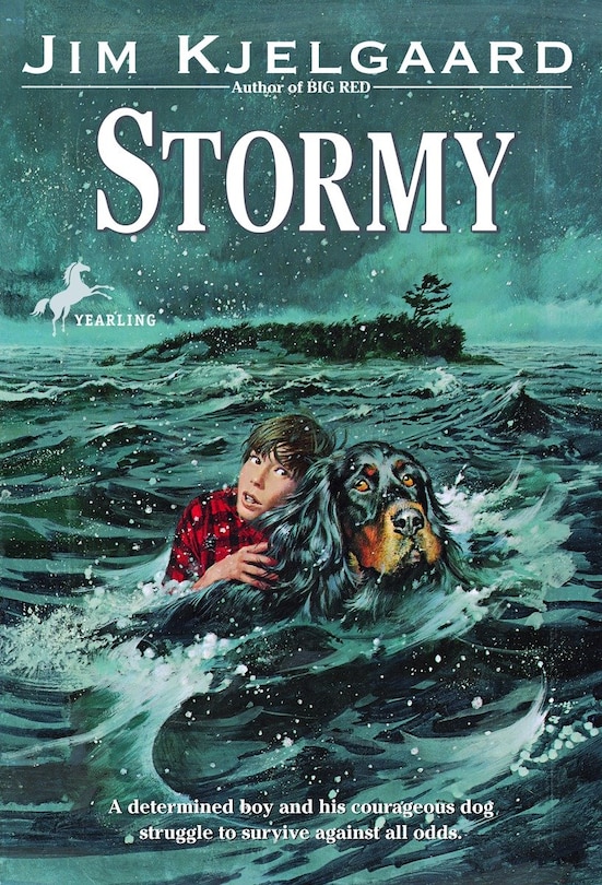 Front cover_Stormy