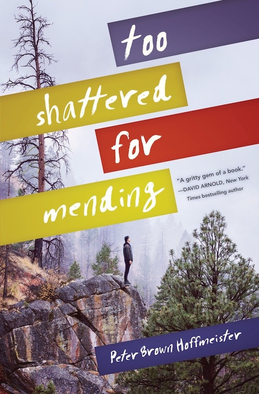 Front cover_Too Shattered for Mending