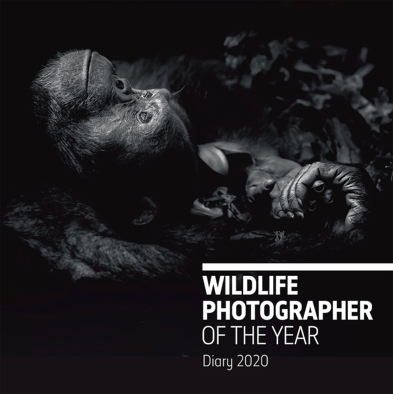 Front cover_Wildlife Photographer Of The Year Desk Diary 2020