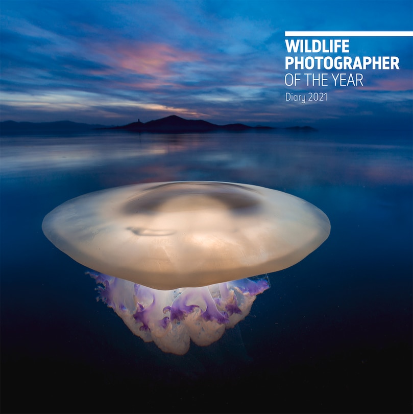 Front cover_Wildlife Photographer Of The Year Desk Diary 2021