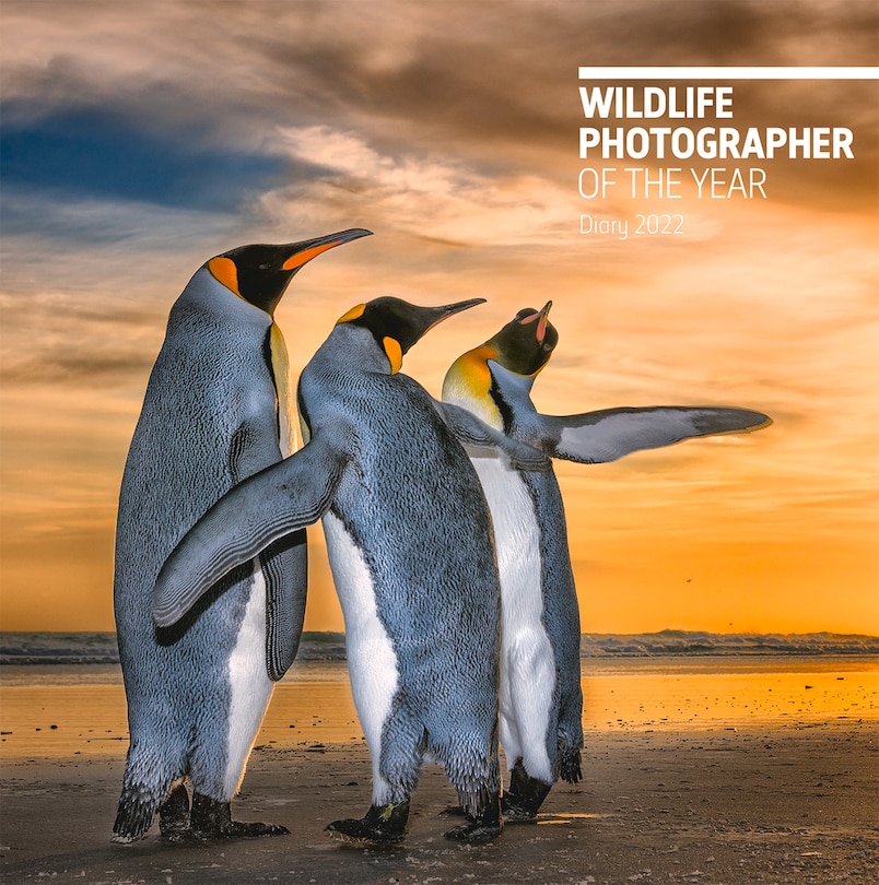 Couverture_Wildlife Photographer Of The Year Desk Diary 2022