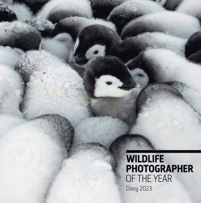 Couverture_Wildlife Photographer of the Year Pocket Diary 2023