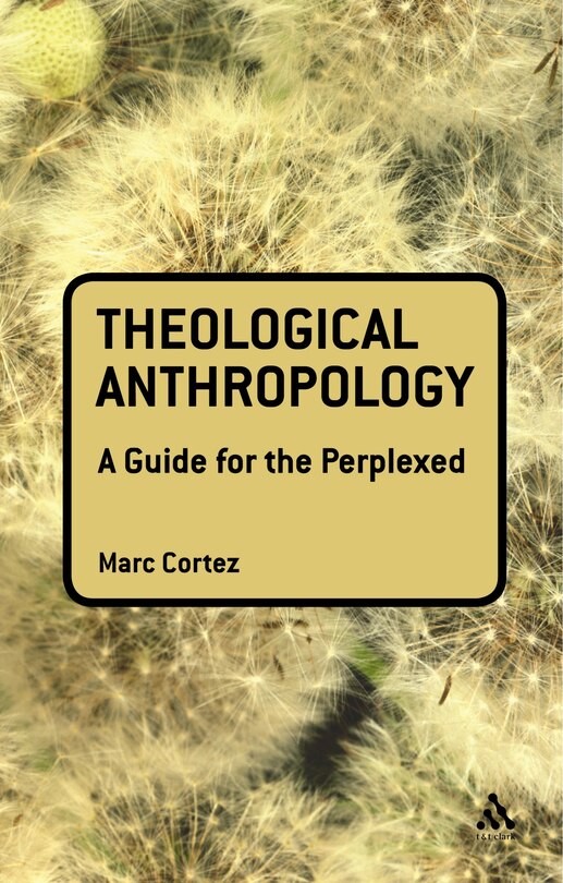 Front cover_Theological Anthropology