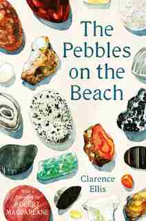 The Pebbles On The Beach by Clarence Ellis