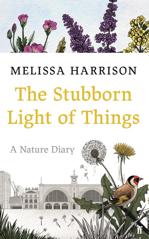 Couverture_The Stubborn Light Of Things