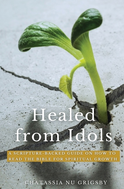 Couverture_Healed From Idols