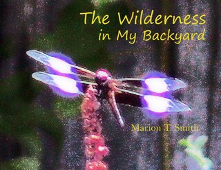 The Wilderness In My Backyard