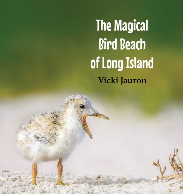 Couverture_The Magical Bird Beach of Long Island
