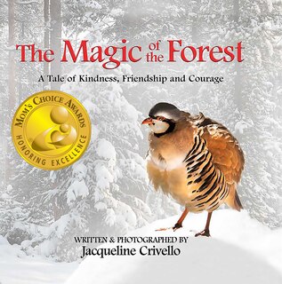 Front cover_The Magic Of The Forest