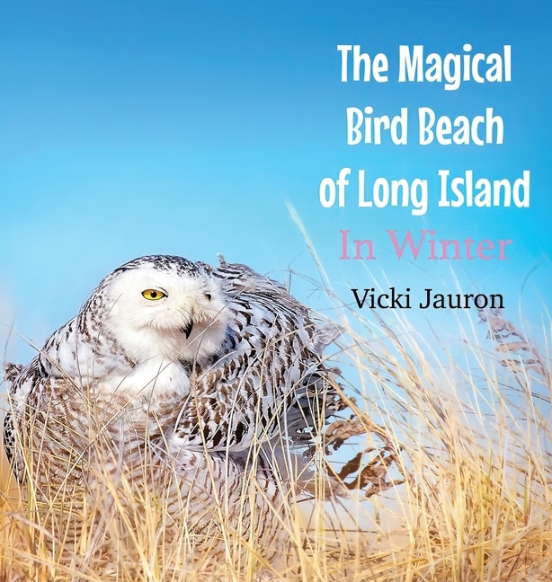 Front cover_The Magical Bird Beach Of Long Island In Winter