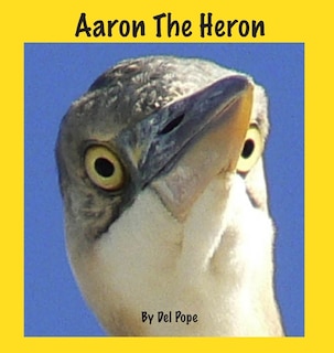 Front cover_Aaron The Heron