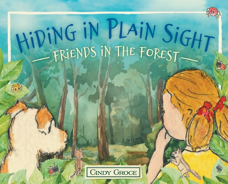 Front cover_Hiding in Plain Sight - Friends in the Forest