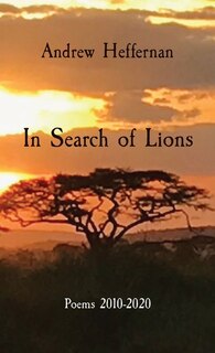 Couverture_In Search of Lions