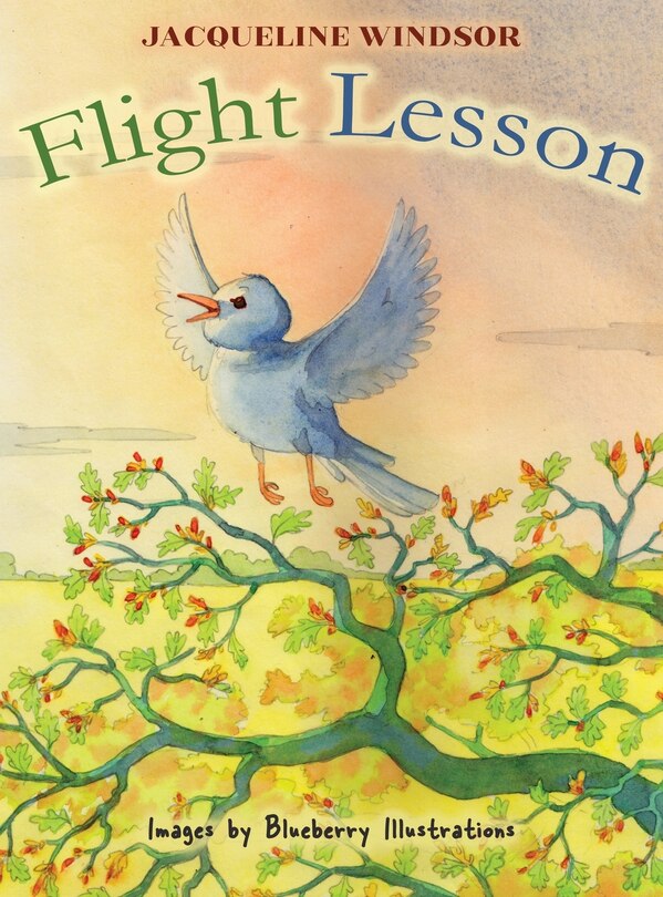 Front cover_Flight Lesson