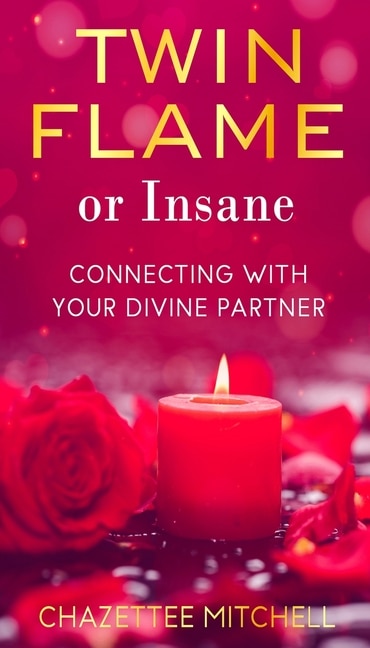 Couverture_Twin Flame Or Insane