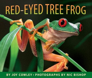 Front cover_Red-Eyed Tree Frog