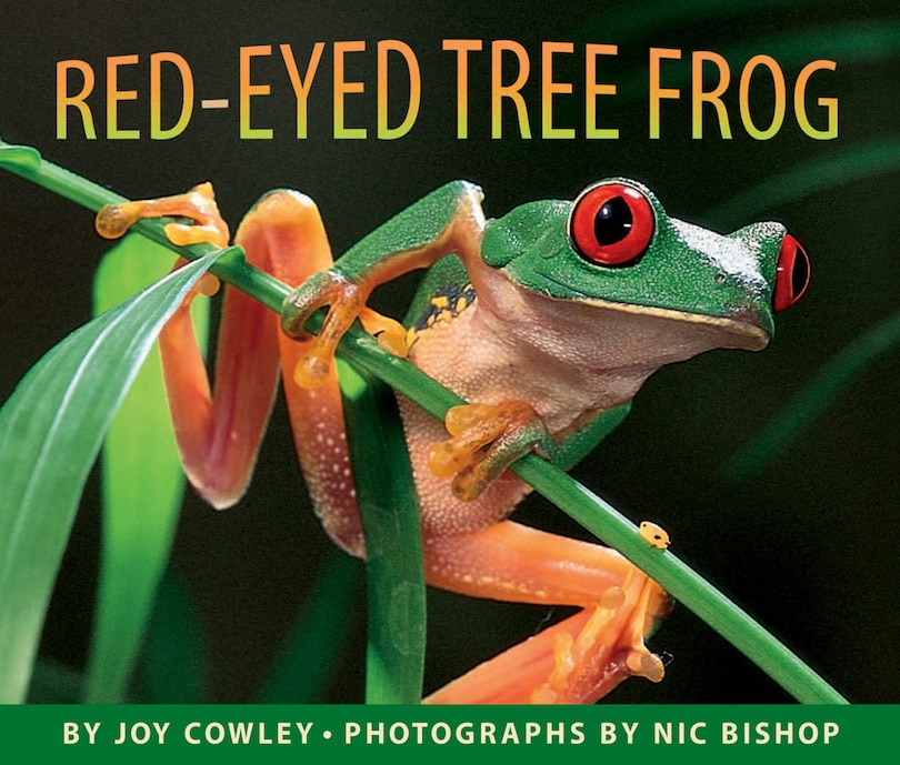 Front cover_Red-Eyed Tree Frog