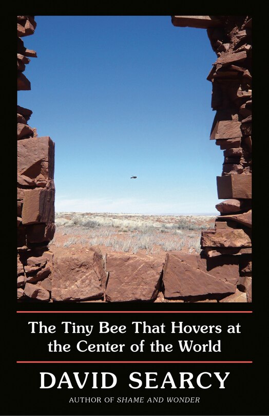Front cover_The Tiny Bee That Hovers At The Center Of The World