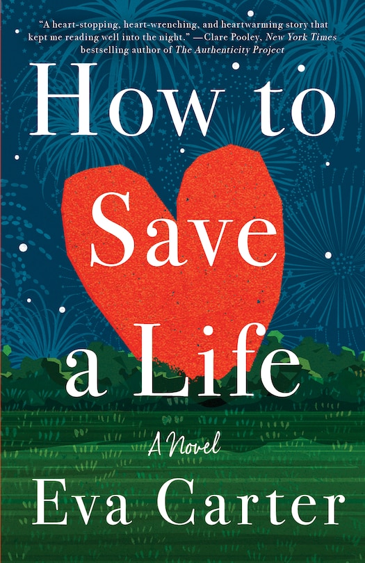 Couverture_How To Save A Life