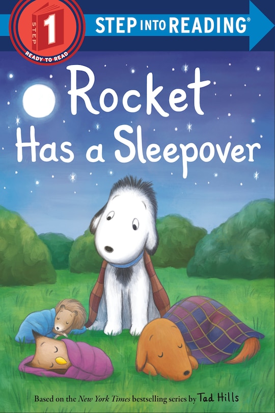 Couverture_Rocket Has A Sleepover