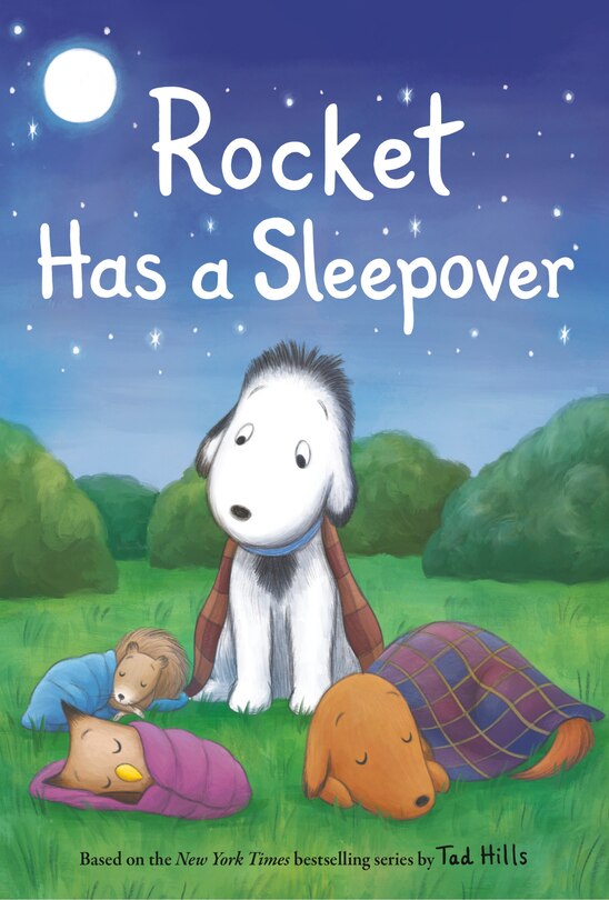 Couverture_Rocket Has A Sleepover