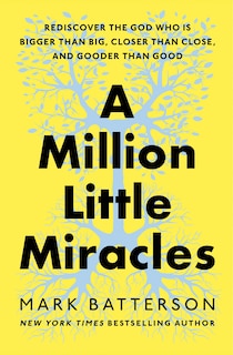Couverture_A Million Little Miracles