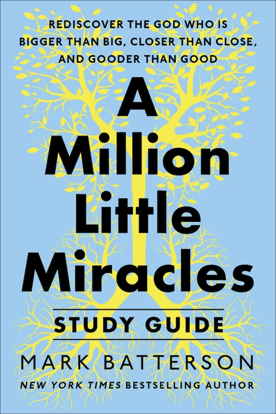 Front cover_A Million Little Miracles Study Guide