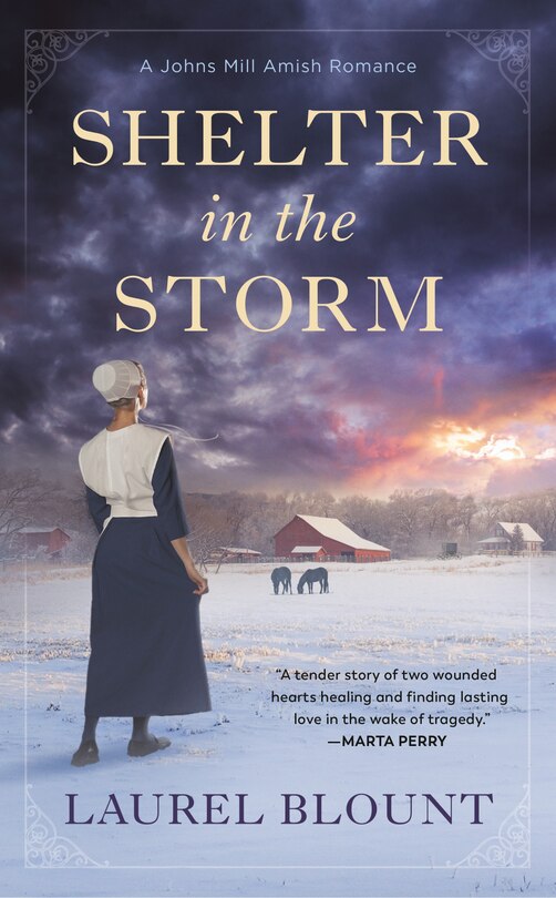 Couverture_Shelter In The Storm