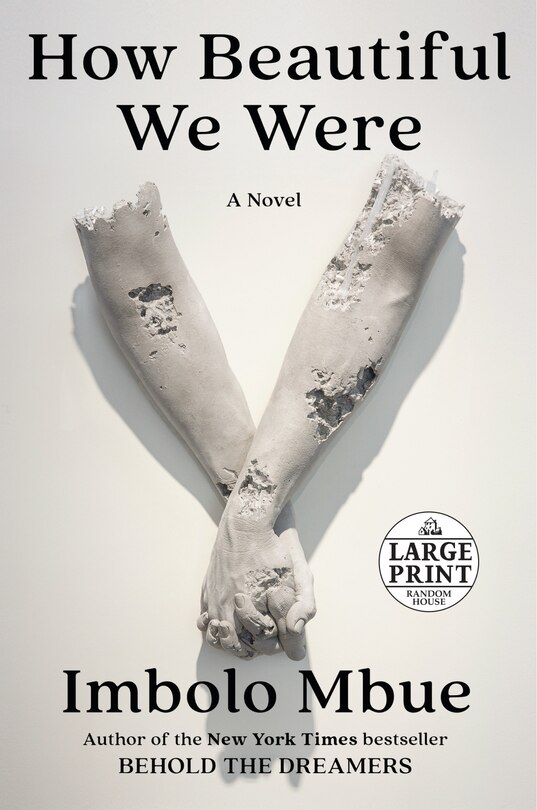 Front cover_How Beautiful We Were