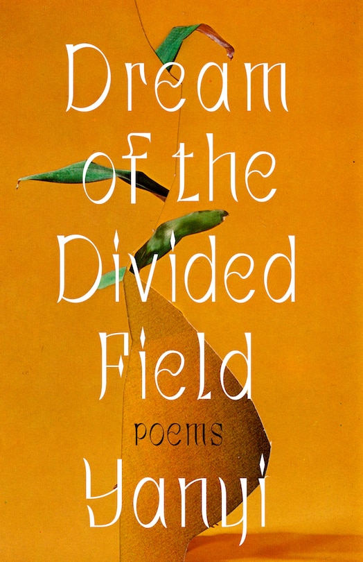 Couverture_Dream Of The Divided Field