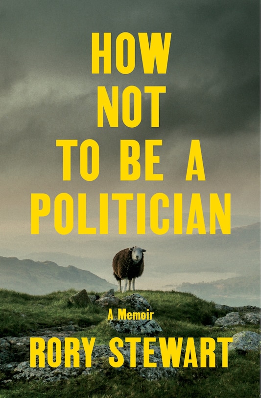 Couverture_How Not to Be a Politician