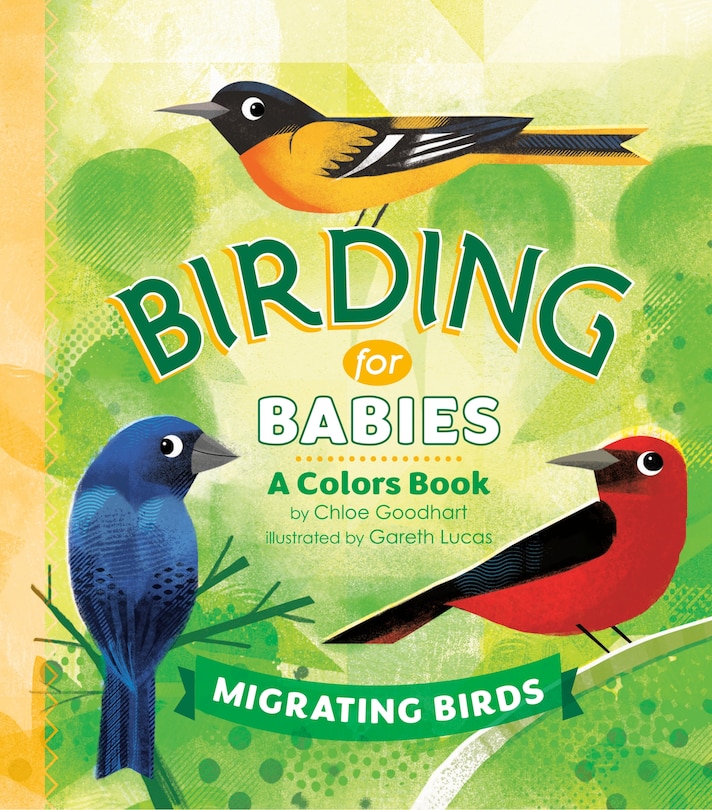 Front cover_Birding For Babies: Migrating Birds