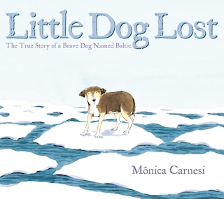 Front cover_Little Dog Lost