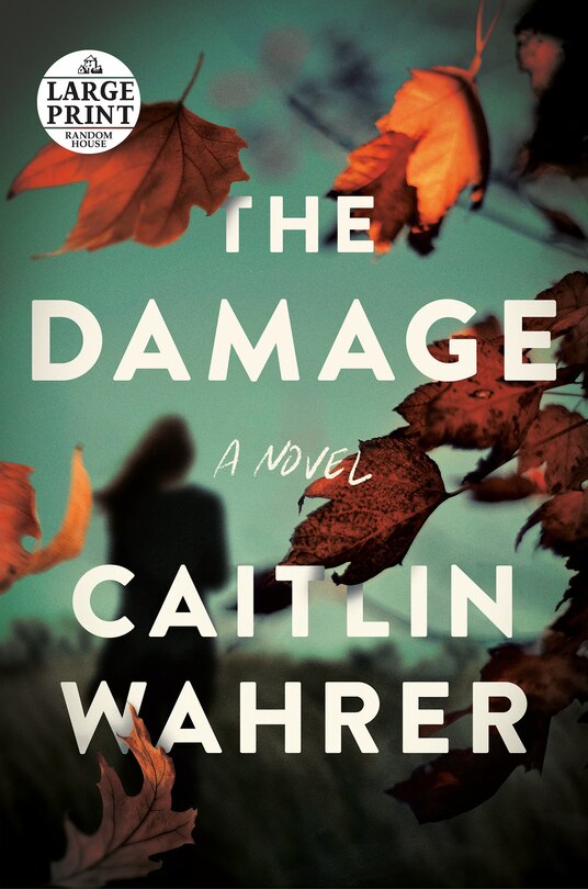 Front cover_The Damage