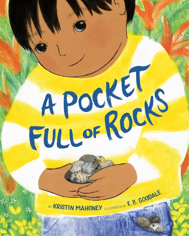 Front cover_A Pocket Full of Rocks