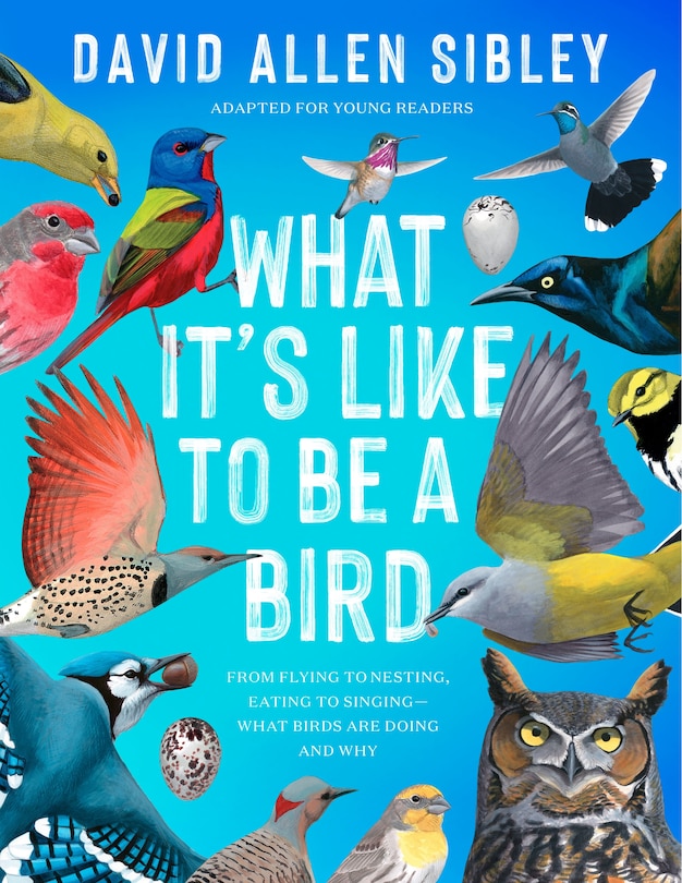 Front cover_What It's Like to Be a Bird (Adapted for Young Readers)