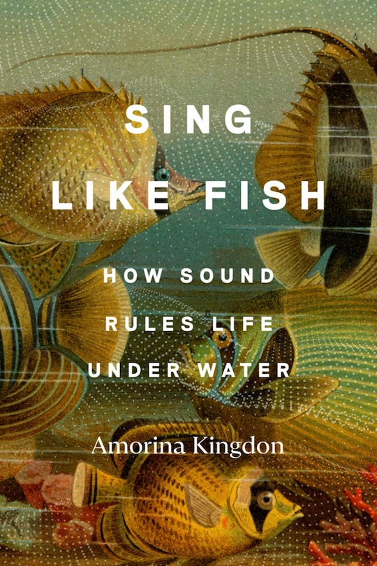 Front cover_Sing Like Fish