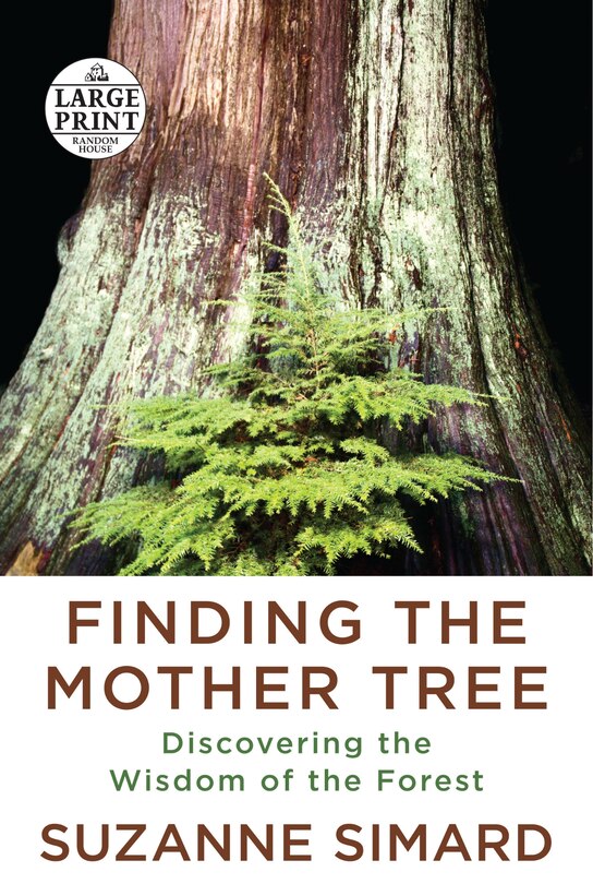 Couverture_Finding The Mother Tree